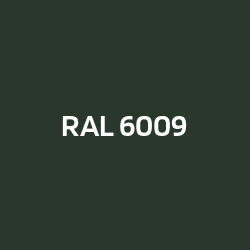 RAL 6009 Fir green